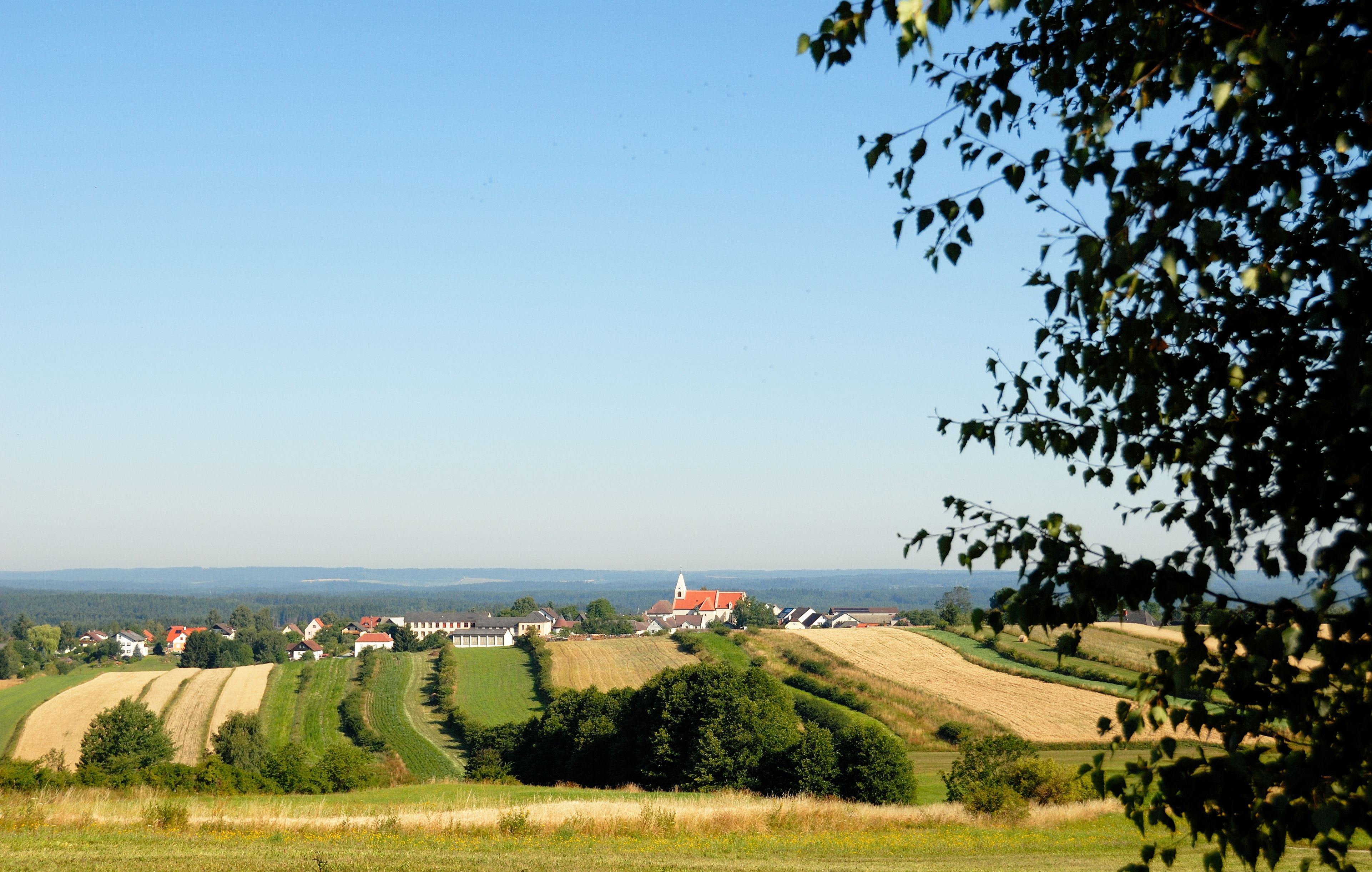 Landscape with fields and a village in the background, blue sky, tree in the foreground.