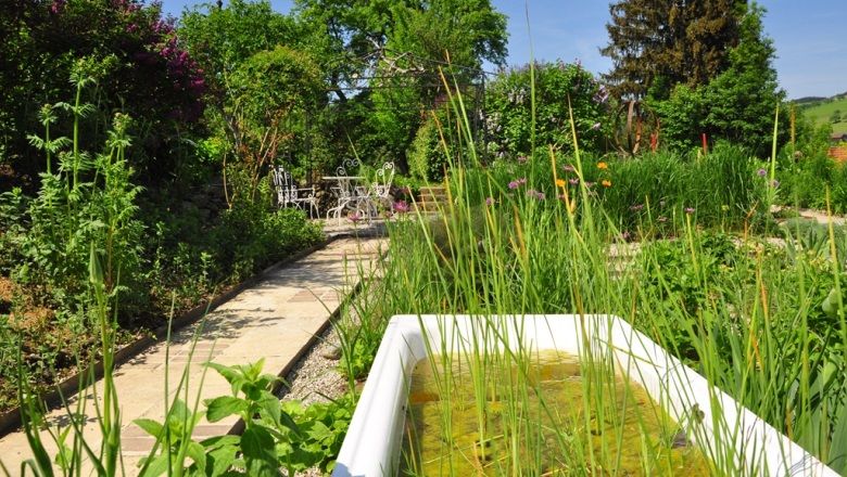 A green garden with a path, an old bathtub as a pond and a table with chairs in the background.