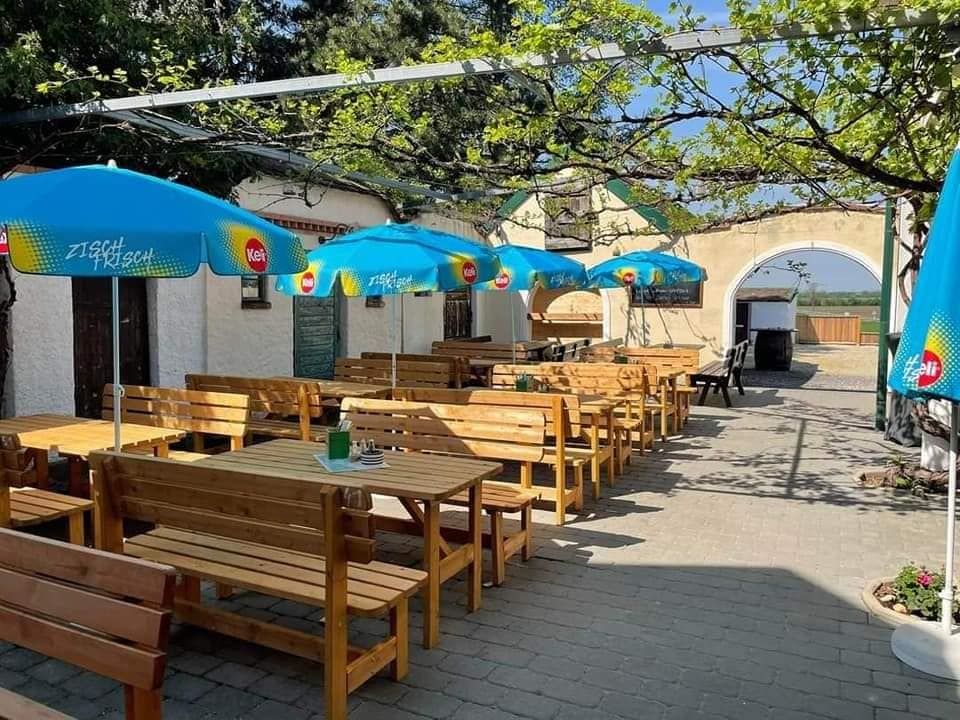 A sunny guest garden with wooden benches and blue parasols.