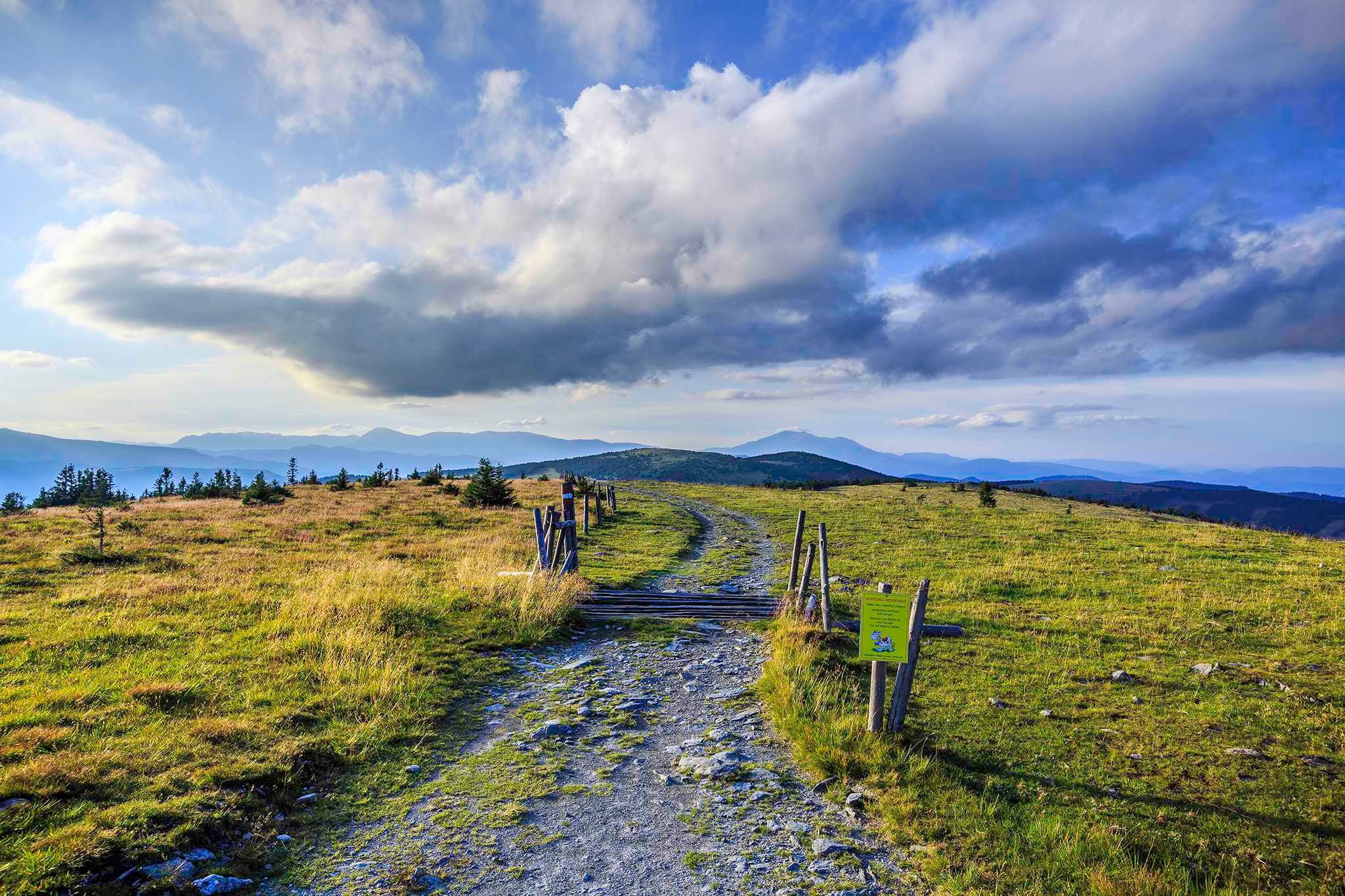 Hiking trail on a mountain meadow with a view of the Hochwechsel and a cloudy sky.