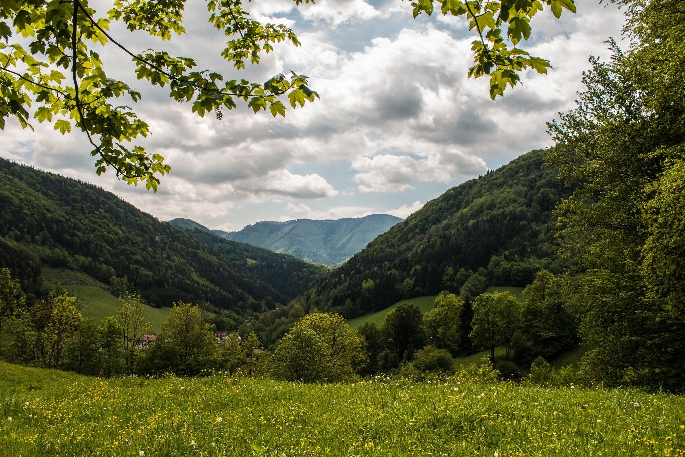 View above Kirchensiedlung