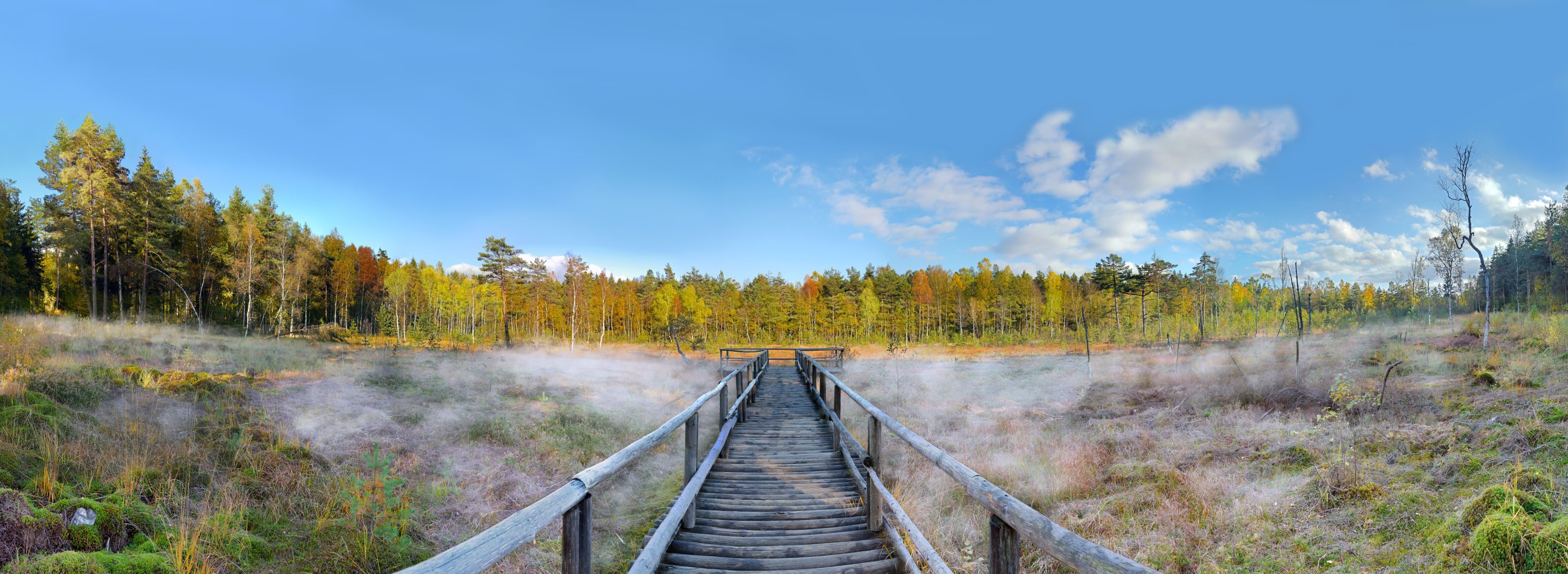 Spanking bridge in the Heidenreichstein moor