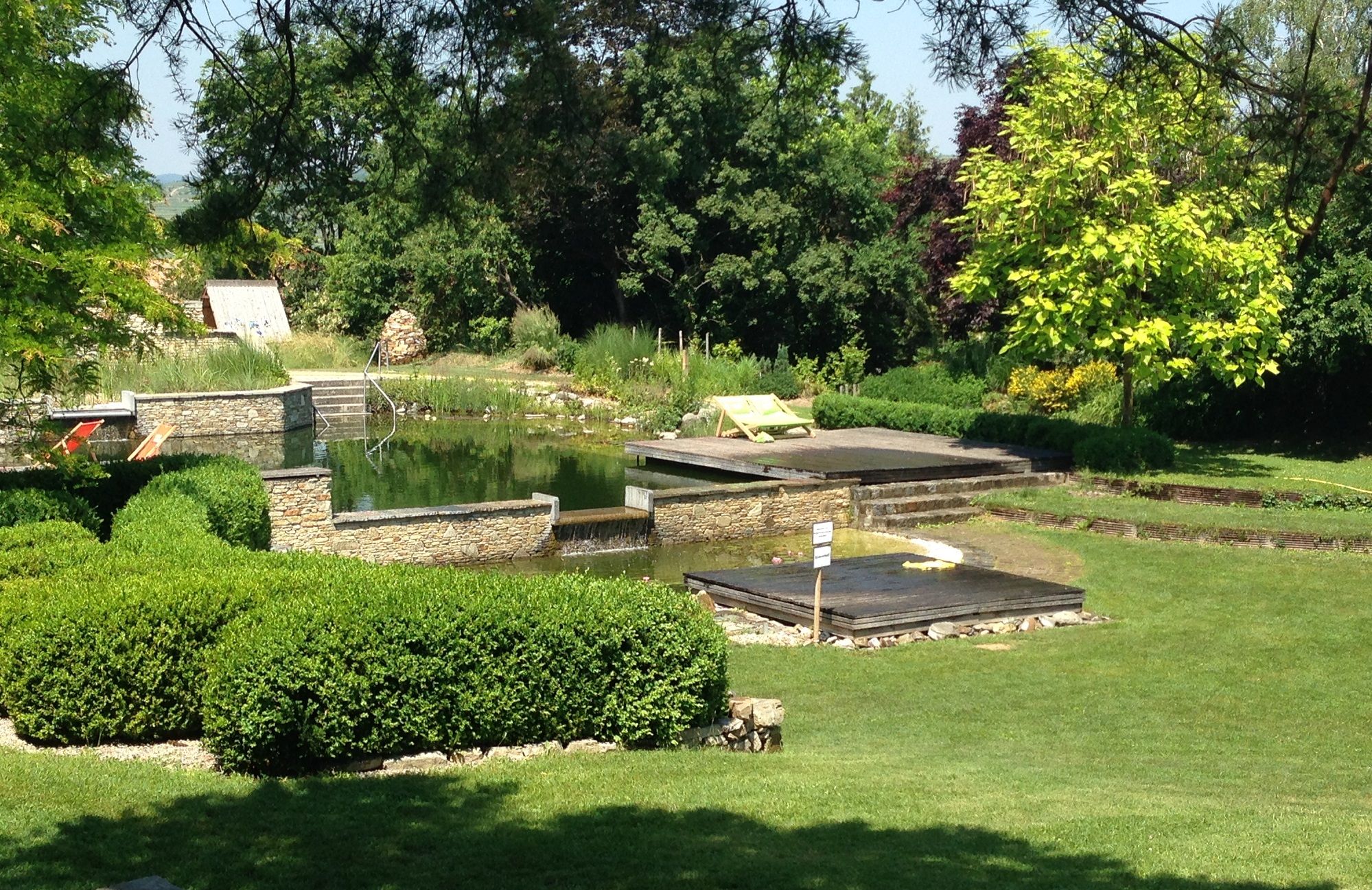 A natural swimming pond with wooden decks and green surroundings.
