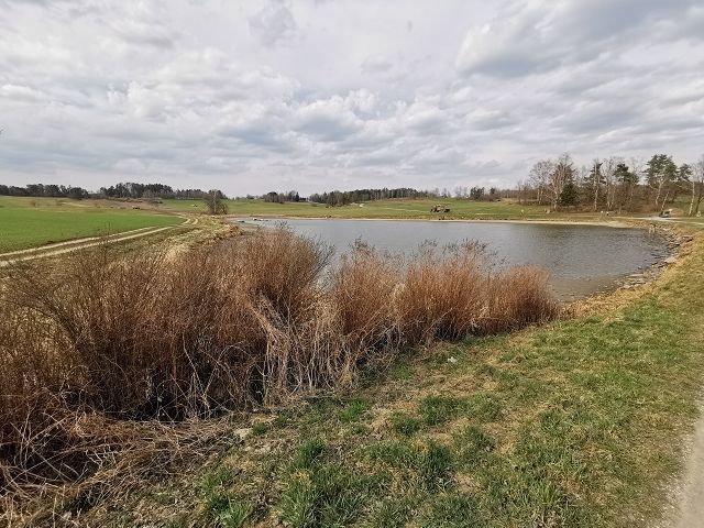Noble pond