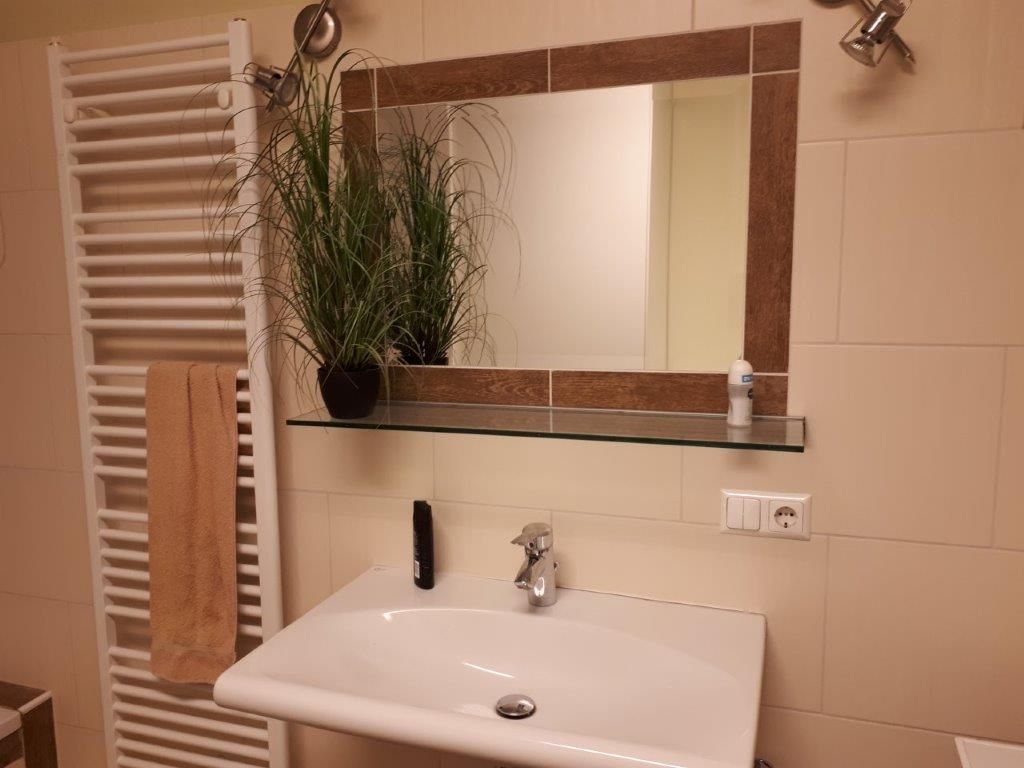Bathroom with washbasin, mirror, towel rail and plant.