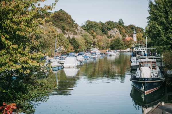 A quiet harbor with boats, surrounded by trees and a church tower in the background.