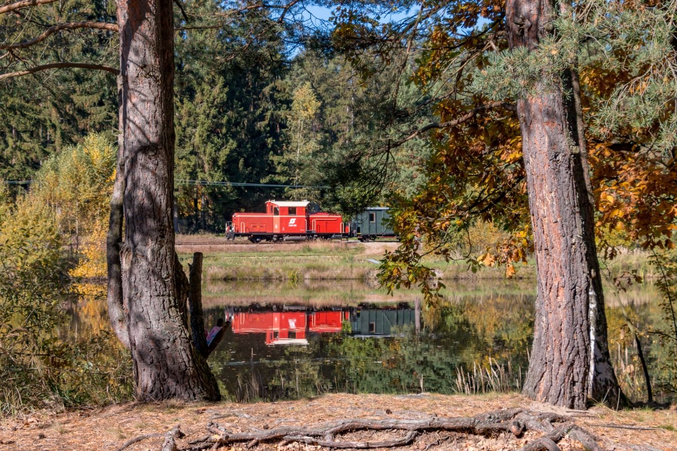 Train at the fish pond