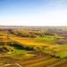 Landscape with vineyards and fields under a blue sky.