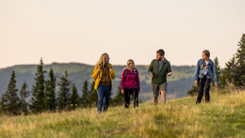 Four people hiking in a meadow in the mountains at sunset.