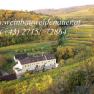 Vineyards with a building in the foreground, surrounded by an autumnal landscape.