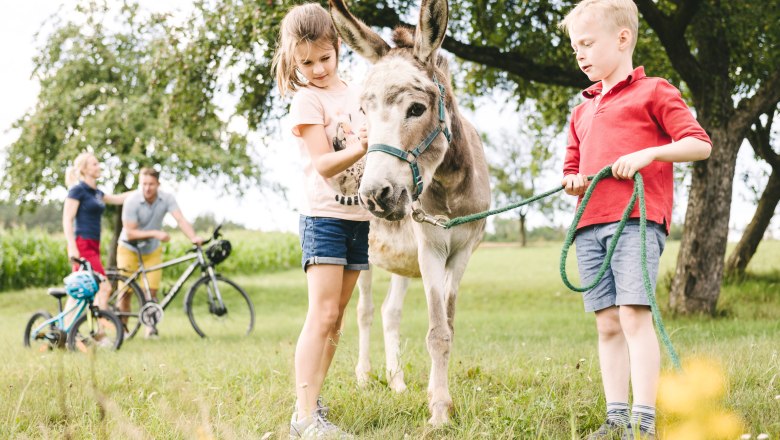 Family trip in Emmersdorf, © Leo Himsl