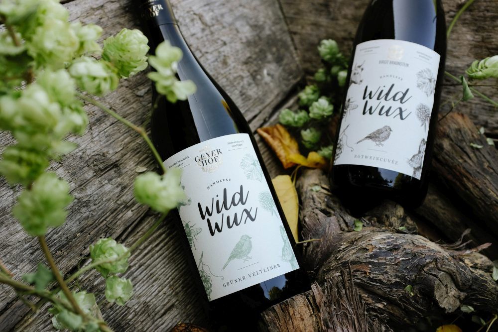 Two bottles of Wildwux wine on wood with hops and leaves.
