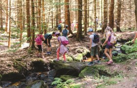 Hike, &copy; Wunderwelt Wald, Fotograf Benjamin Wald