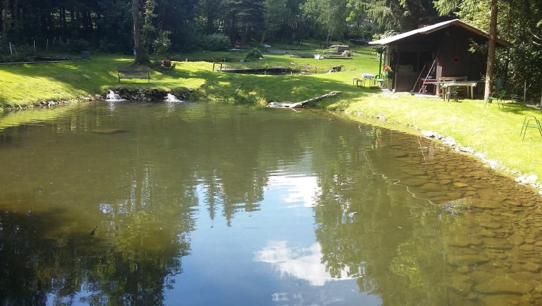 A small fishing pond with clear water, surrounded by green grass and trees. A wooden hut stands on the right bank.