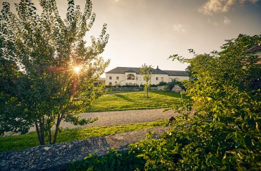 Freigut Thallern, Gumpoldskirchen, © Niederösterreich-Werbung/Andreas Hofer