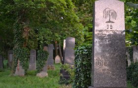 Jewish cemetery in Hollabrunn with old gravestones and ivy-covered trees.