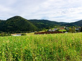 Blick zu Mandlgupf, Hinterberg und St. Anna Kirche, &copy; Unknown