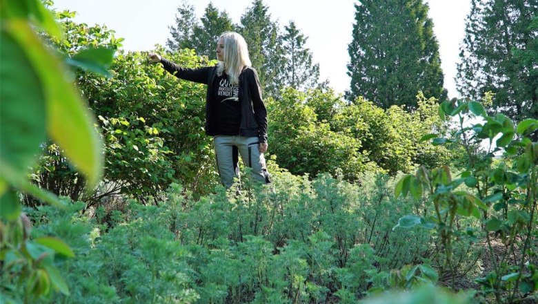 Genuine from the land, &copy; Degnfilm