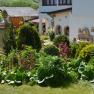 A well-tended garden with various plants and a white house in the background.