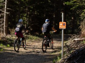 Herrgottschnitzer H&uuml;tte Route #20, &copy; Wexl Trails