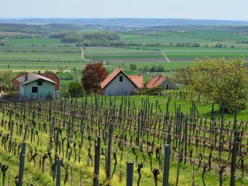 Ausblick REnthouse Rechnitz, &copy; Unknown