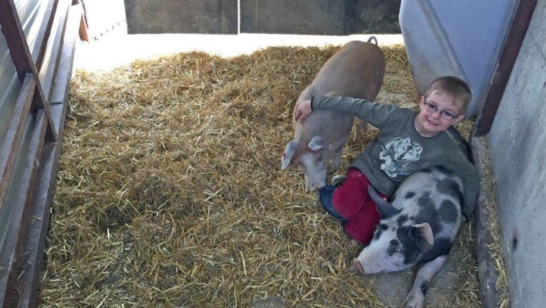 kerndlerhof_pigs_niklas, &copy; Kerndlerhof