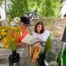 An elderly couple sits at an outdoor table, surrounded by flowers and drinks, looking at a menu.