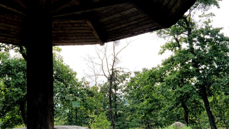 Wooden canopy in the forest with bench and green grass.