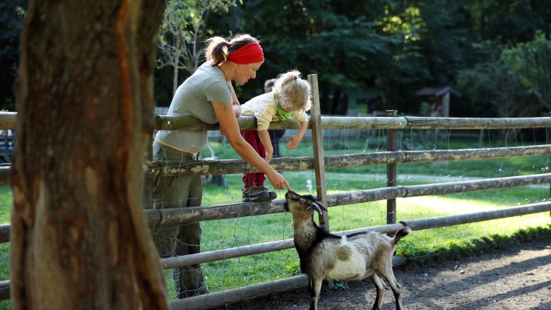 A woman and a child feed a goat over a wooden fence in a nature park.