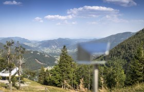 View from the Edelweißhütte to the Schneeberg with green forests and mountains in the background.