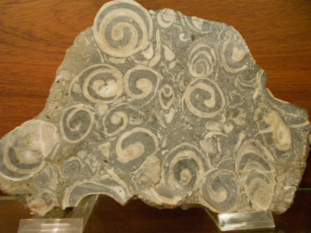 Mineral room
