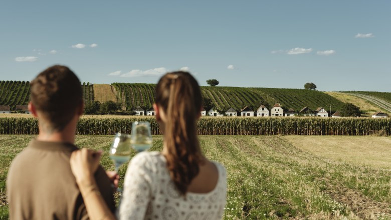 A couple looks out over a wine cellar lane in Diepolz, surrounded by vineyards and fields, with glasses of wine in their hands.