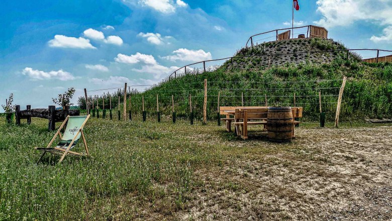 Vineyard snail Platzl, © HanSu.Foto.Design