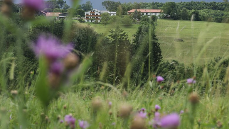 Garden, © Erika Berger