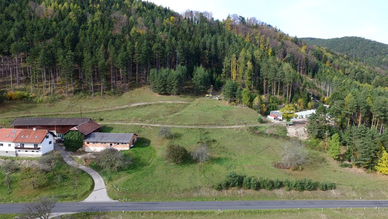 Landscape with forest, meadows and buildings on the edge of the forest.