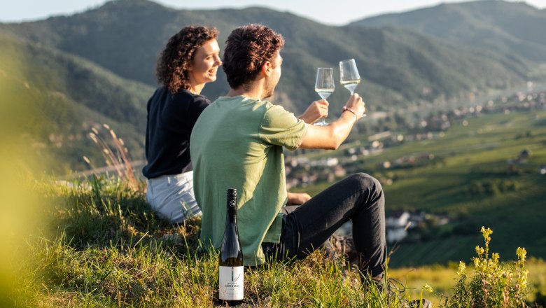 Two people sit on a hill and clink glasses of wine, with a mountain landscape in the background.
