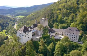 Aerial view of Stixenstein Castle surrounded by green forests and hills.