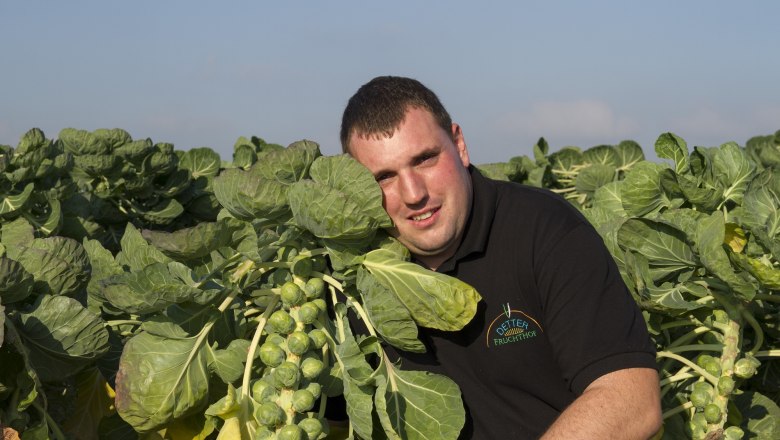 Seasonal vegetables, &copy; Detter- Fruchthof