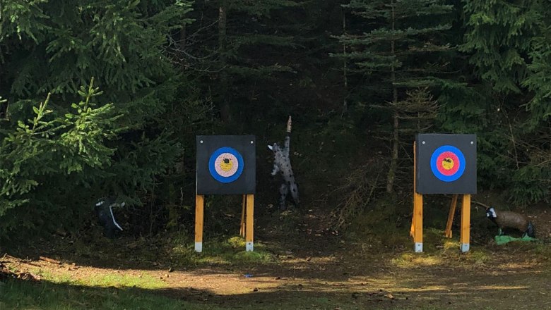 Bullet hole, &copy; Archery Yspertal