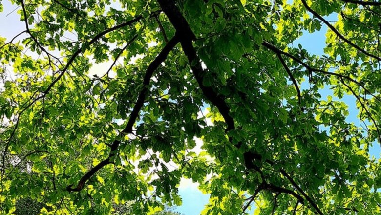 exteriorchaletview_c_chaletview, &copy; test