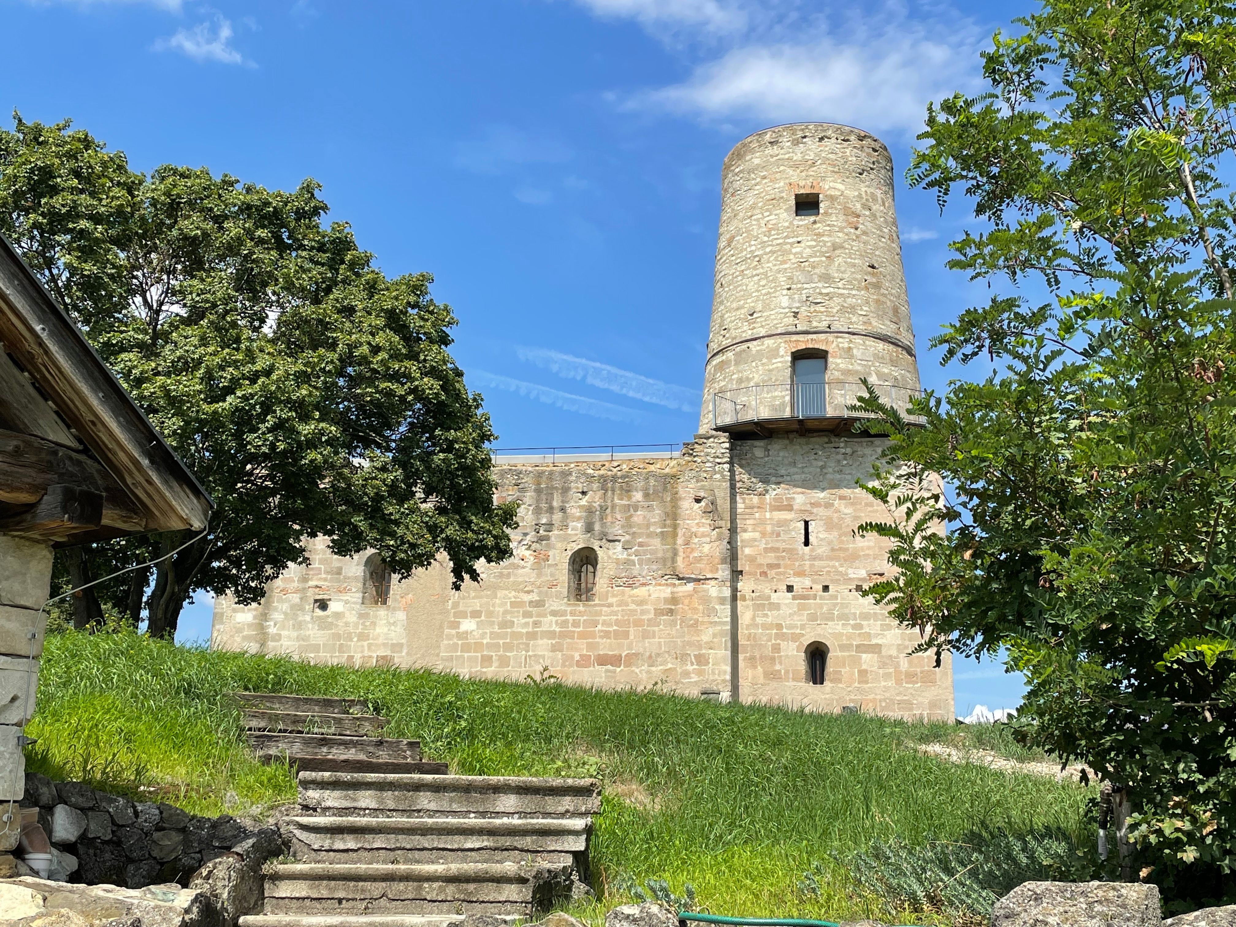 Markgrafneusiedl ruins with tower and trees in the foreground.