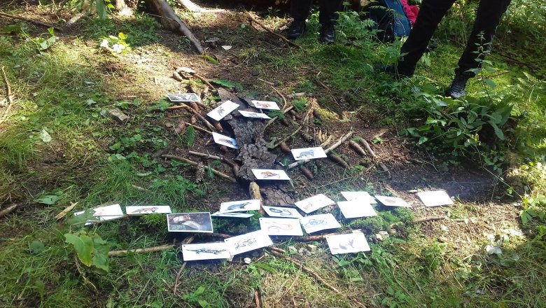 In the forest, © Waldpädagogik Waldviertel/Roswitha Haghofer