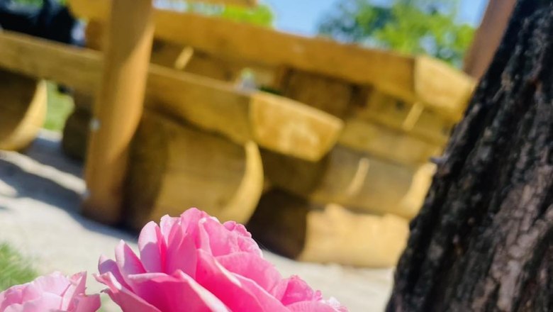 Close-up of pink rose petals with blurred wooden bench in the background.