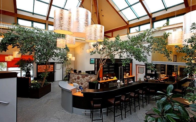 Interior view of a modern fitness center with bar and plants.