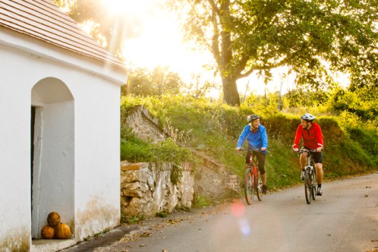a different type of cycle tour., © Weinviertel Tourismus/Bartl