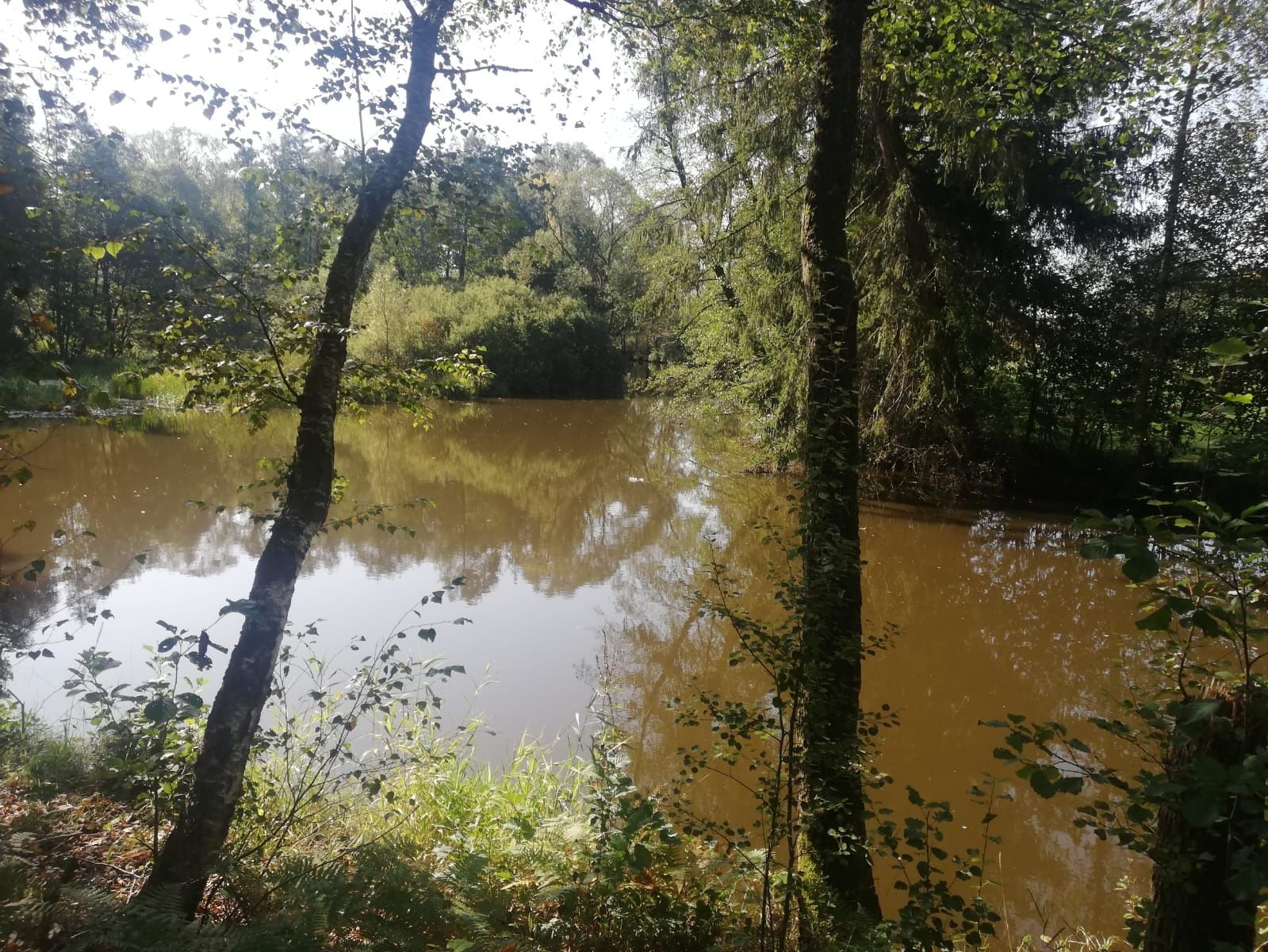 Fishing trail