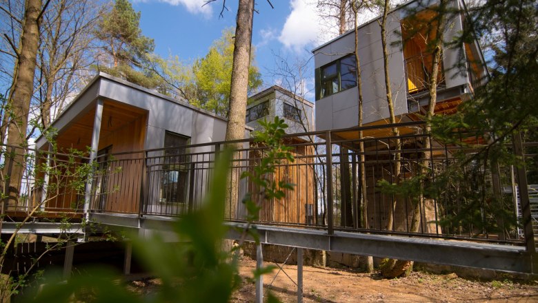 Modern tree houses in a forest with blue sky in the background.