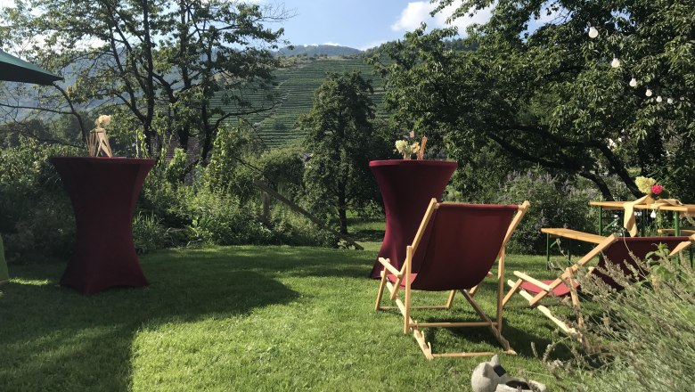 Sun loungers and bar tables on a meadow with a view of the vineyards.