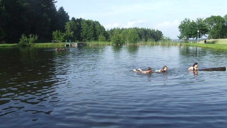 People swimming in a natural bathing pond surrounded by trees.
