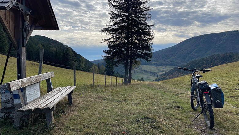 Landscape with bench, tree and bicycle on a hill overlooking the valley.